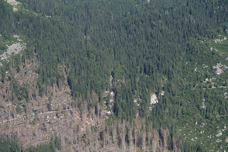 slawkowskiszczyt09.2008 020